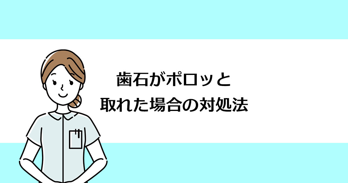 【新潟の歯医者で歯周病治療】歯石がポロッと取れた場合の対処法