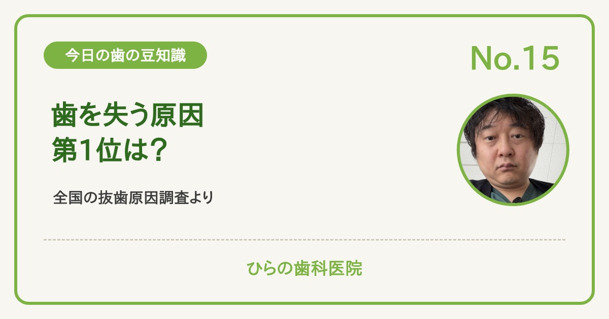 今日の歯の豆知識 No.15