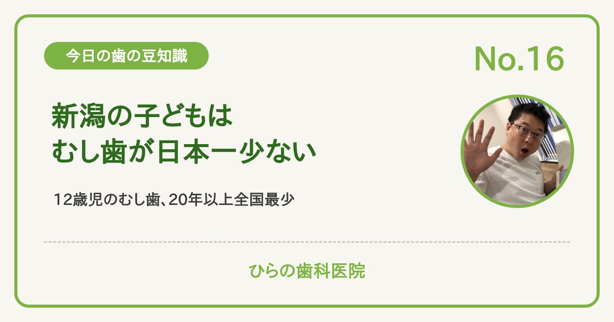 今日の歯の豆知識 No.16