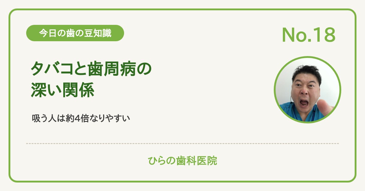 今日の歯の豆知識 No.18