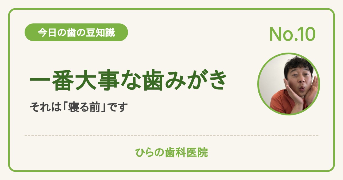 今日の歯の豆知識 No.10