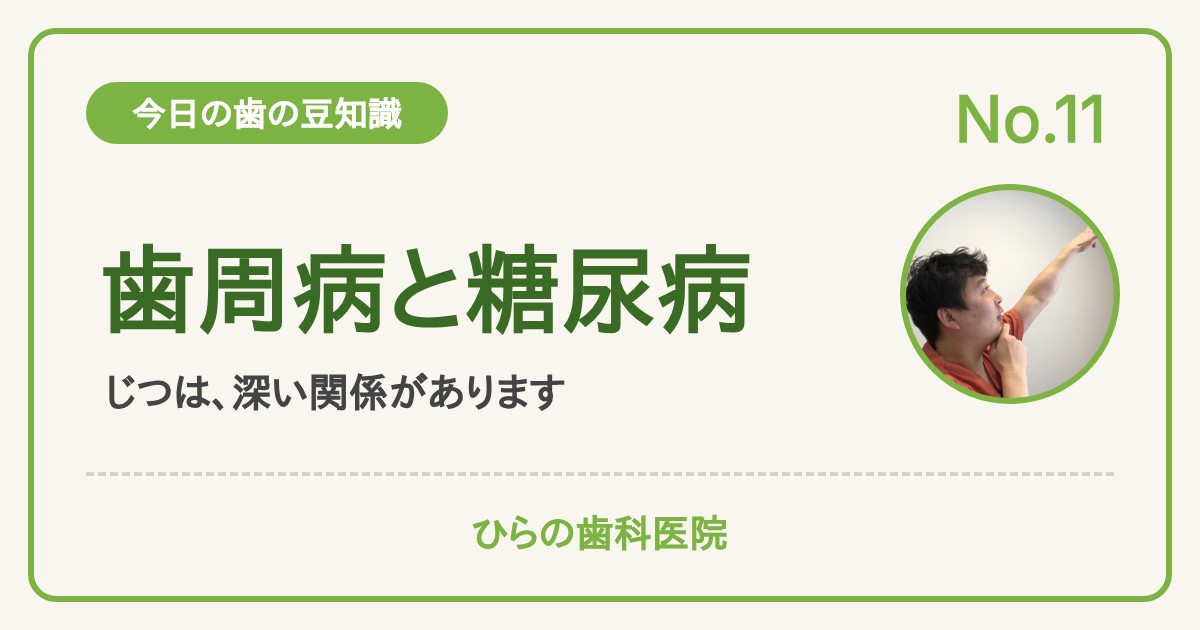 今日の歯の豆知識 No.11