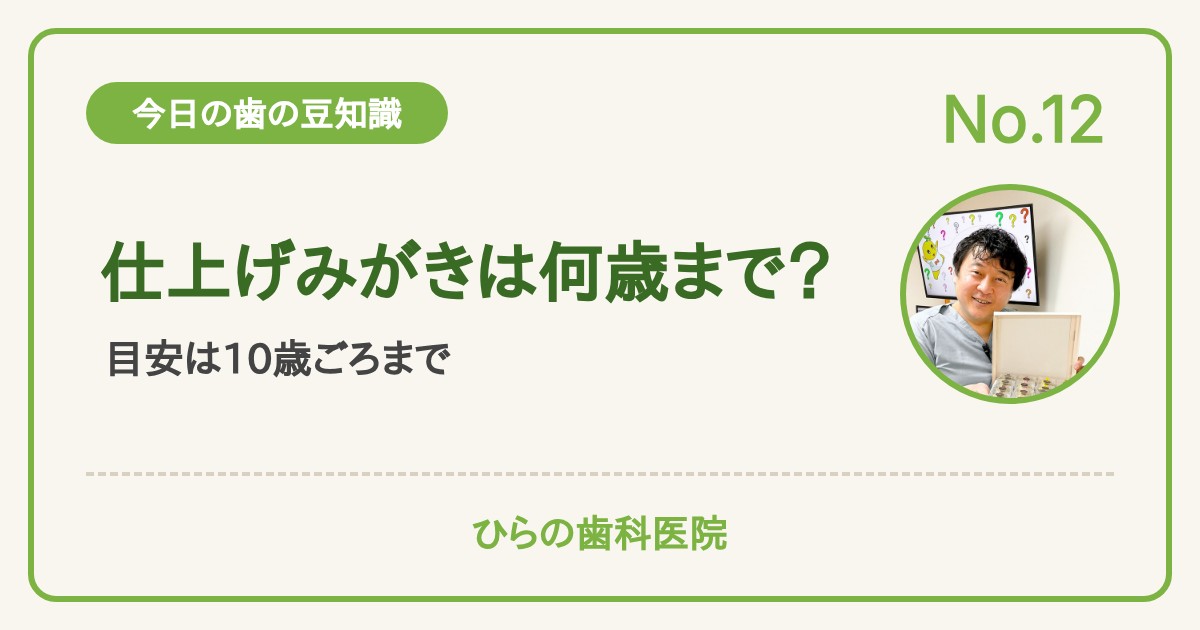 今日の歯の豆知識 No.12