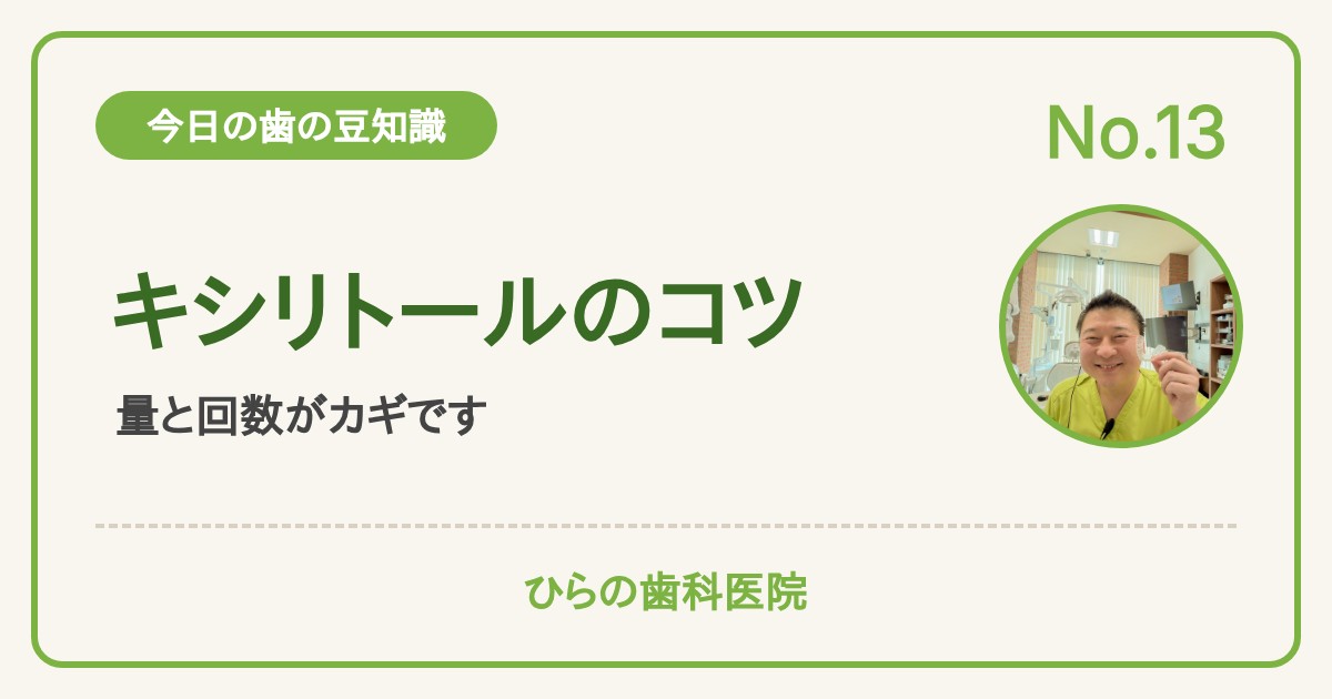 今日の歯の豆知識 No.13