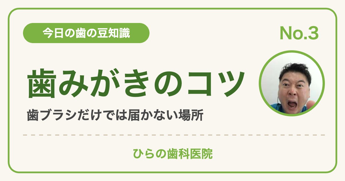 今日の歯の豆知識 No.3