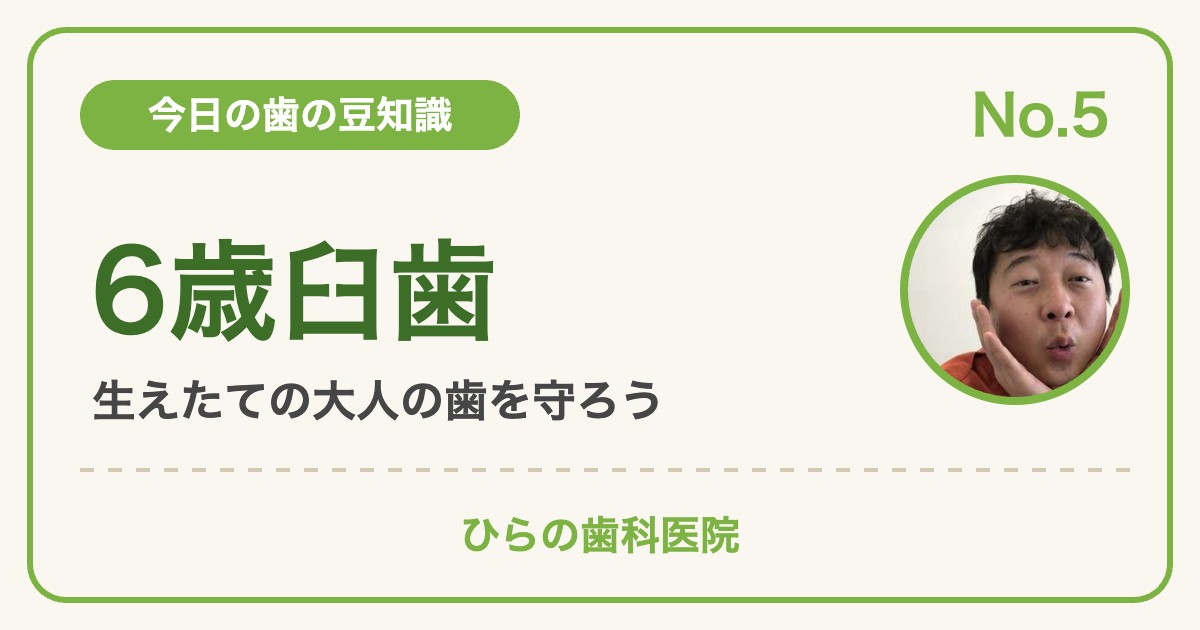 今日の歯の豆知識 No.5