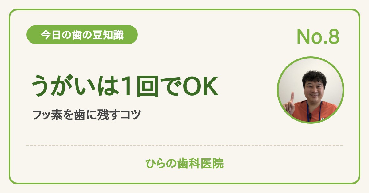 今日の歯の豆知識 No.8