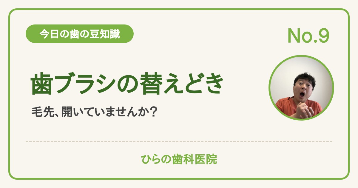 今日の歯の豆知識 No.9